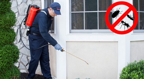 Güzelbahçe Tahtakurusu İlaçlama böcek ilaçlama ve haşere kontrolü — ilaclama-tr.com